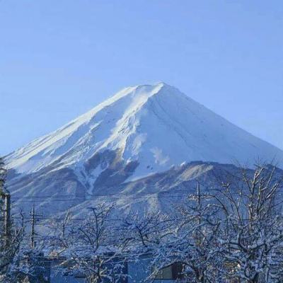 鸡腿破解版免root下载